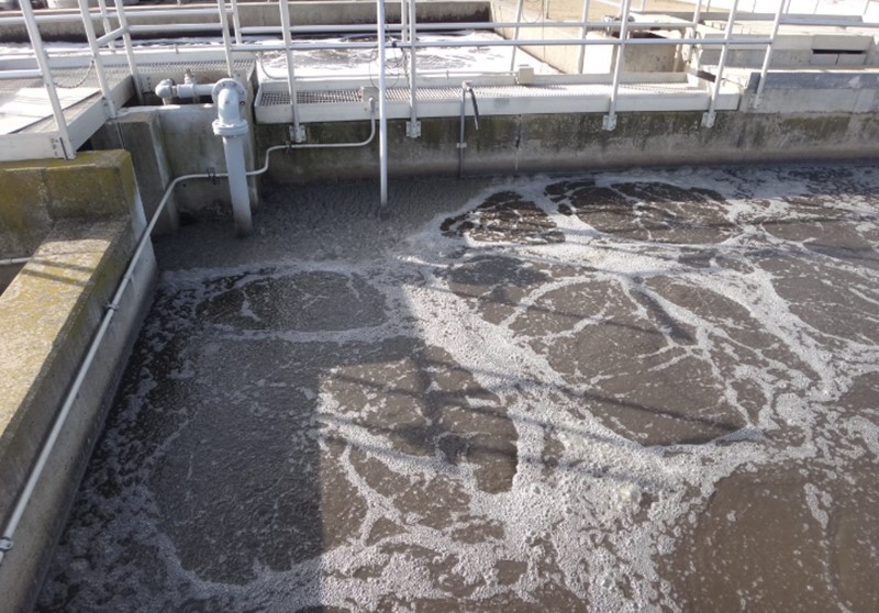Nitrification and Denitrification Nitrification and Denitrification