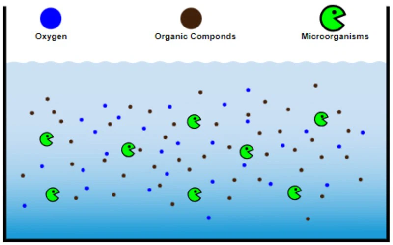 High BOD In Wastewater High BOD In Wastewater